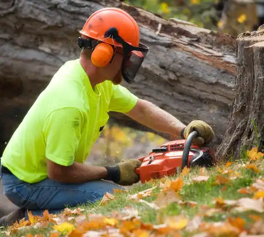 tree services Monticello